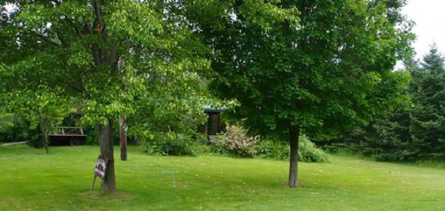 Bed and Breakfast The South Glenora Tree Farm Dundee Exterior foto